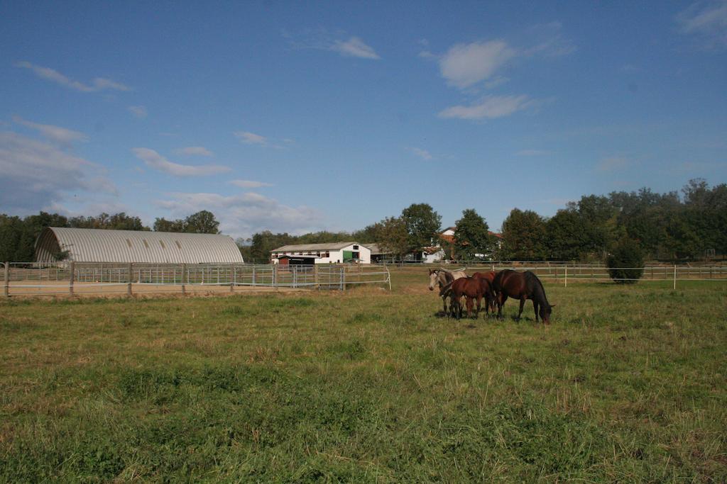 Agriturismo Fano'S Farm Suno Exterior foto
